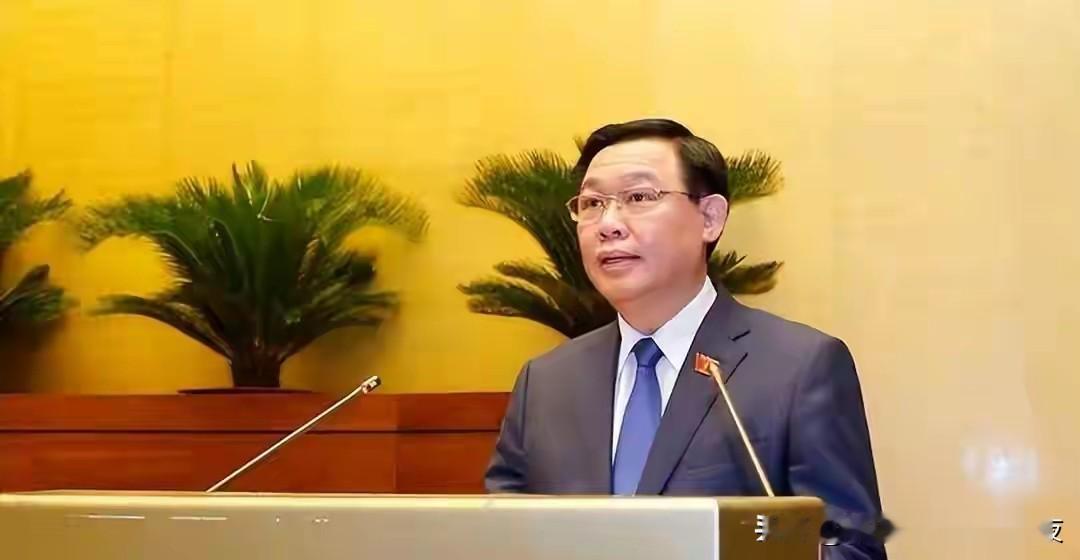 美国在南海布的暗线，被中越给挖了出来，越南亲美派逐个遭到清算