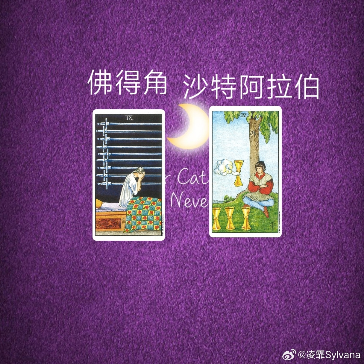不构成任何参赛投注参考，纯属娱乐佛得角VS沙特阿拉伯说真的这就是两张让我觉得不得
