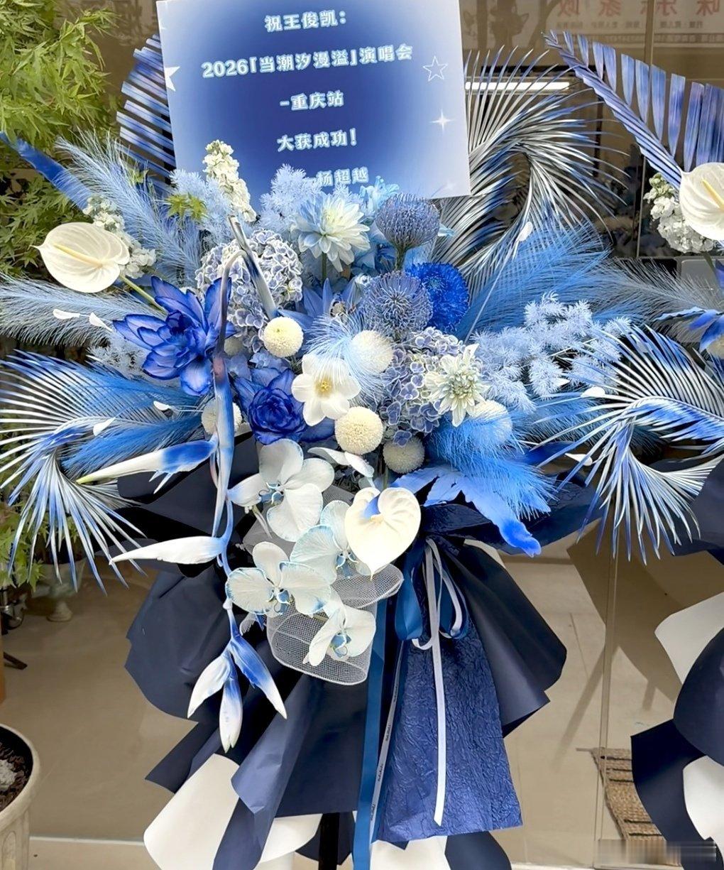 杨超越给王俊凯送演唱会花篮杨超越祝王俊凯演唱会大获成功杨超越给王俊凯送演唱会花篮