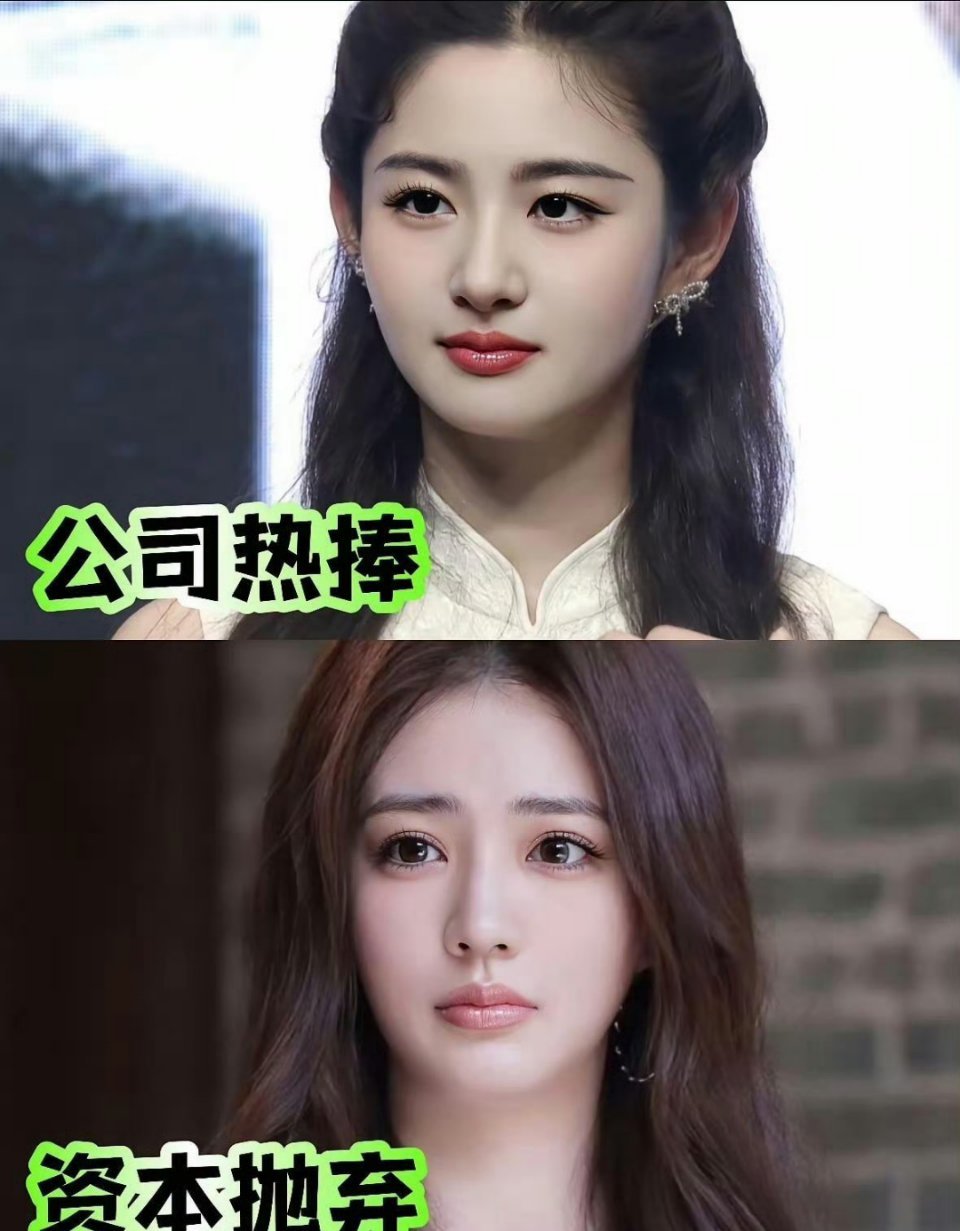 同脸不同命，一个公司热捧，一个资本抛弃网红出身的赵晴，和科班出身的徐露，一个被于