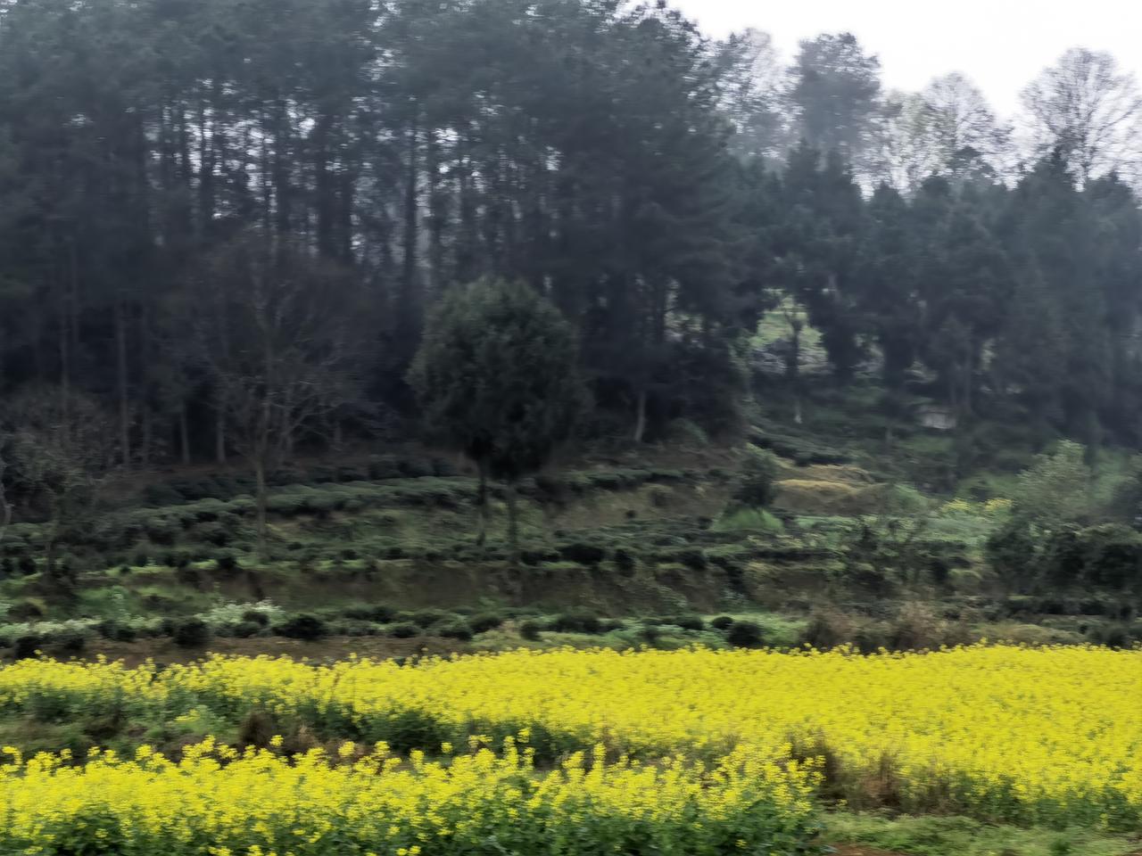 贵州出差打车神价！24公里仅22元
 
来贵州出差的朋友，必须分享这个打车惊喜！