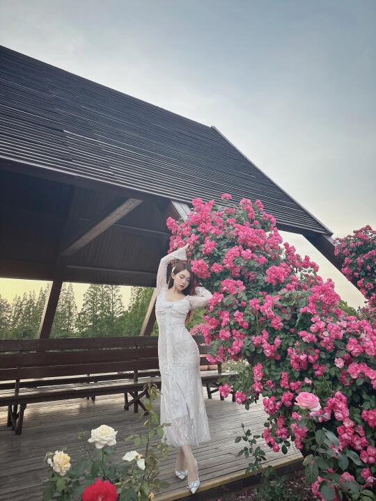 这片花海太美了！花絮也绝