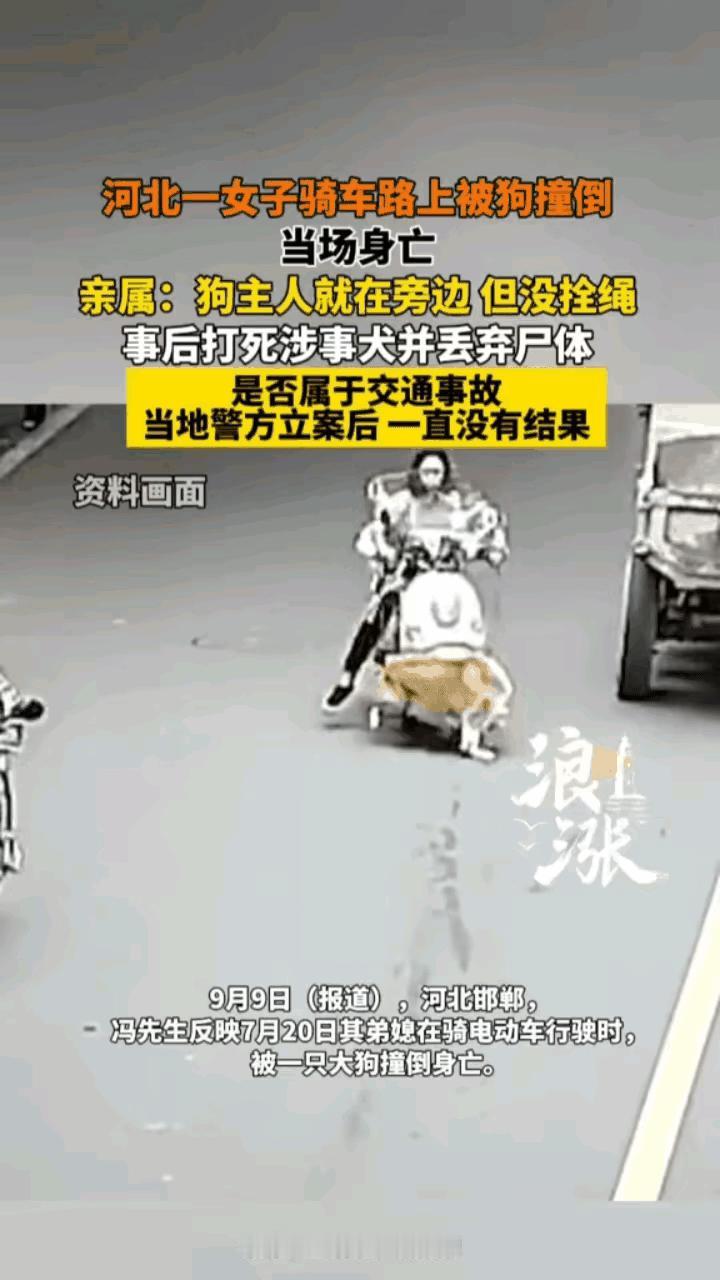 这个事故太惨了

河北一女子正常在马路上行驶，突然窜出来一条大狗，把女子连车带人