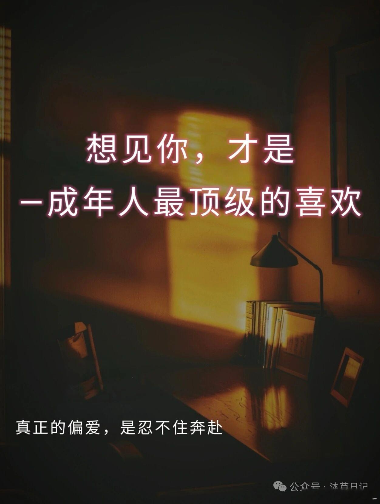 偏爱你，才是成年人最顶级的喜欢成年人的深情，早已不再是海誓山盟的轰烈，也不是节日