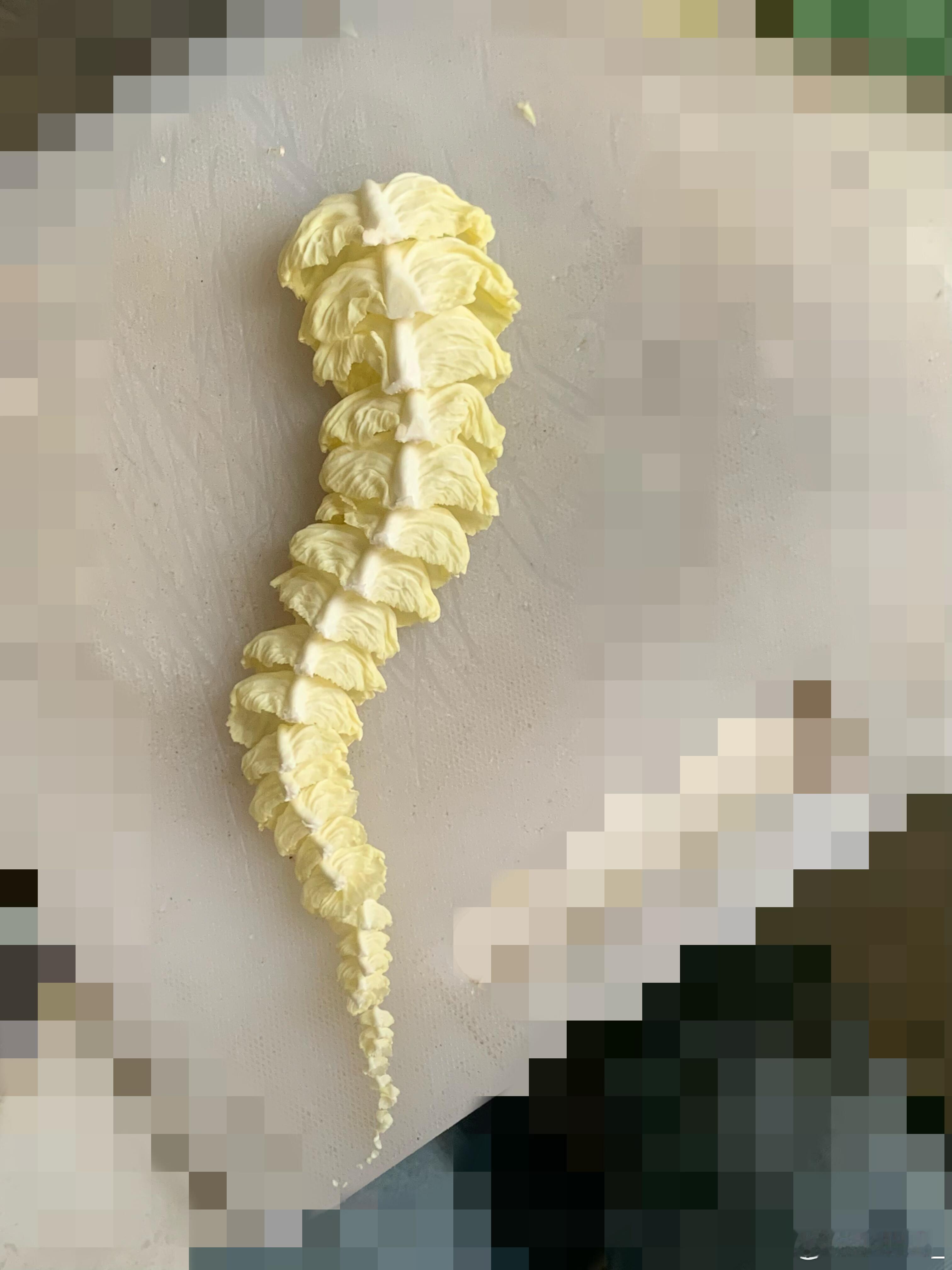 包菜最原始的套娃有些鱼进化成了人类有些鱼进化成了包菜奇奇怪怪的蔬菜 | 一些奇奇
