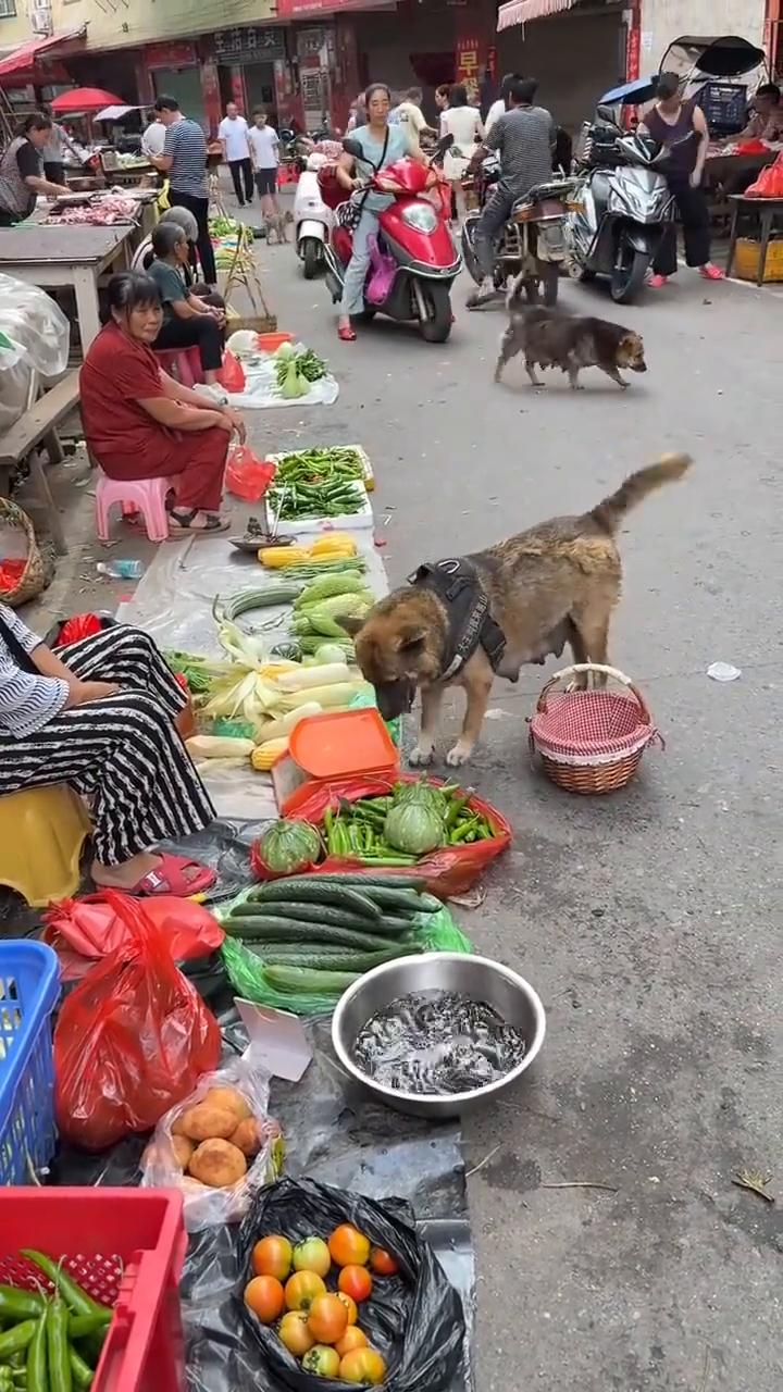 如果不是亲眼所见我是万万不敢相信的。
