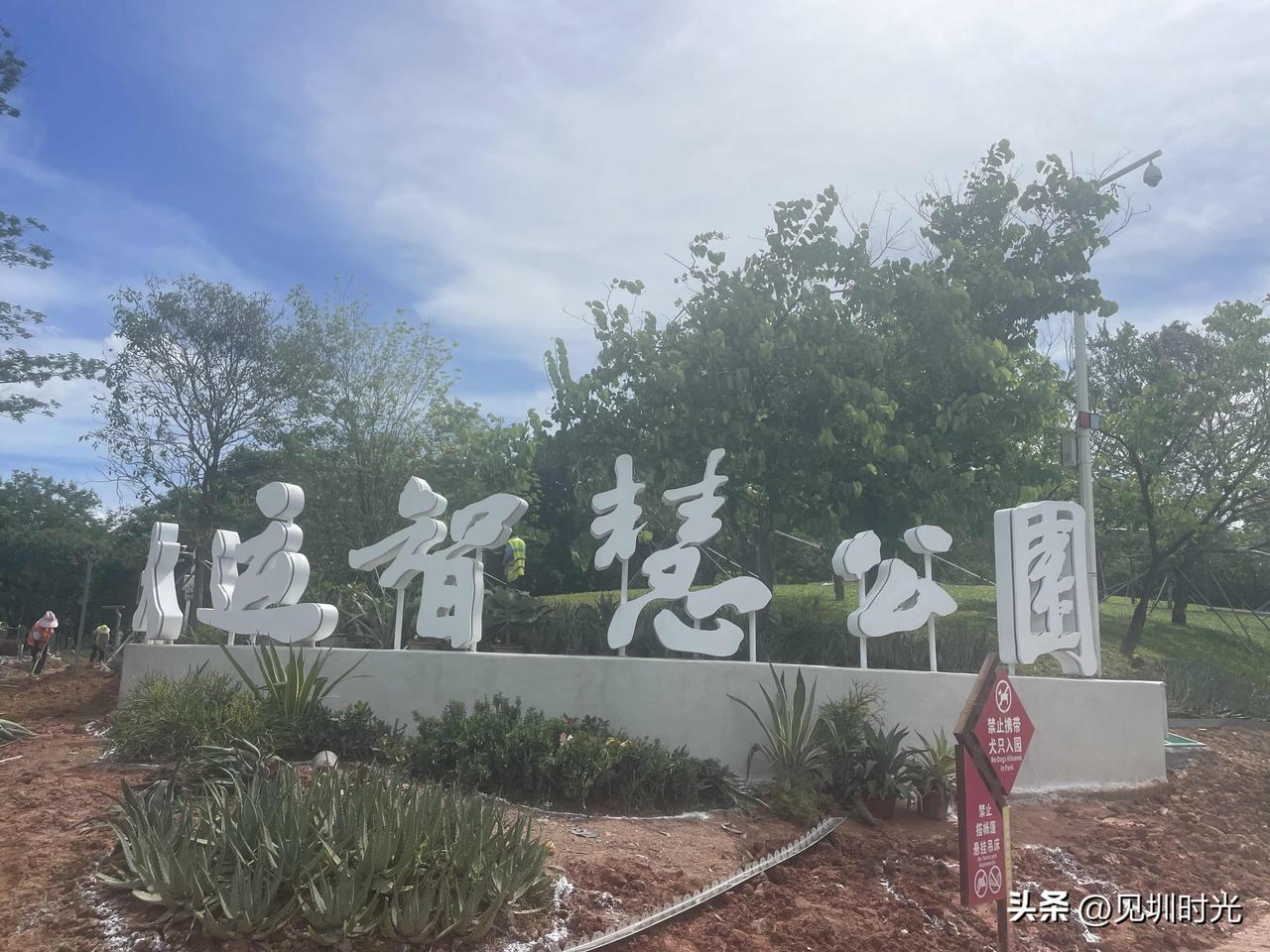 大运智慧公园第二批开放区域正式开放！第三批大草坪片区计划8月30日前开放！

 
