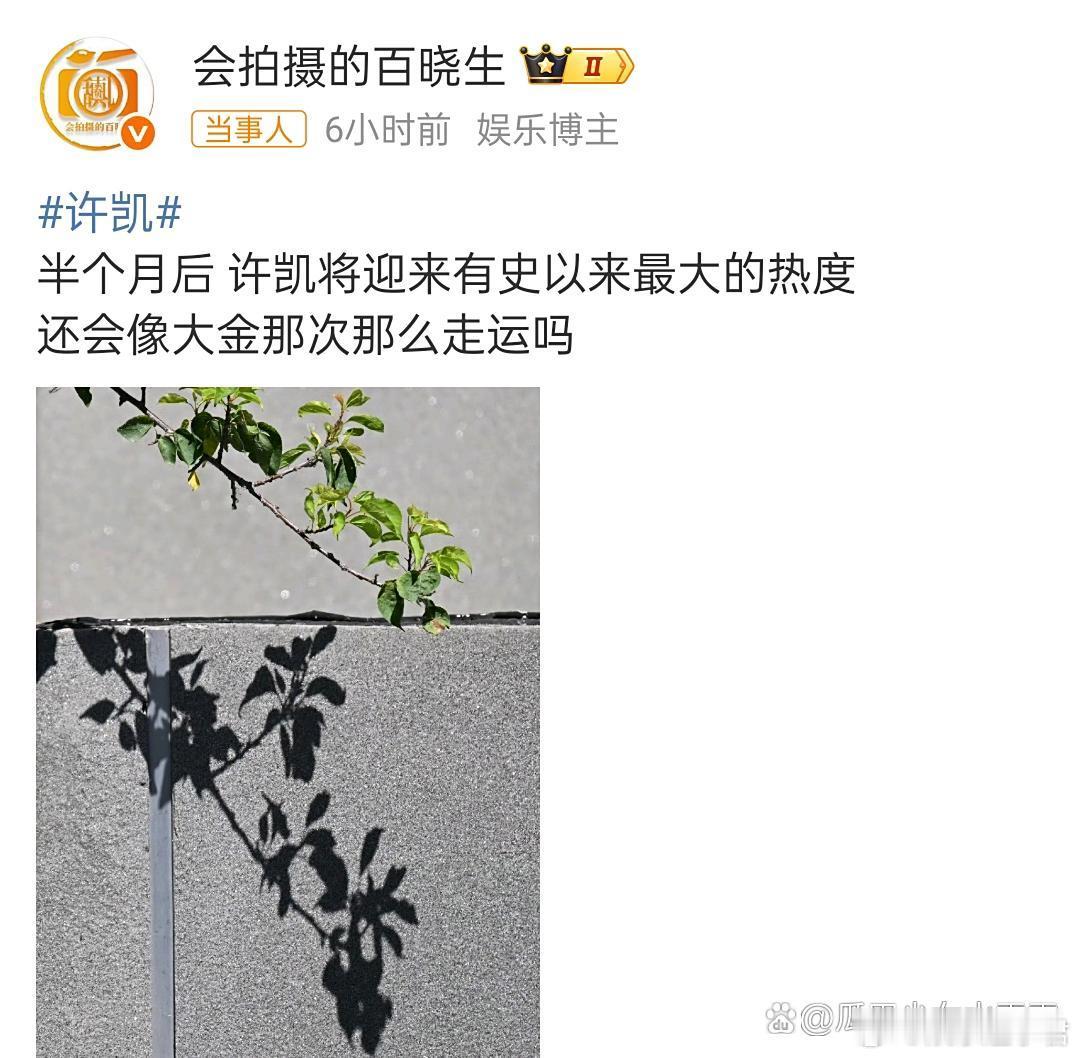 狗仔预告许凯半个月后有大瓜狗仔说，半个月后，许凯将迎来有史以来最大的热度… ​​