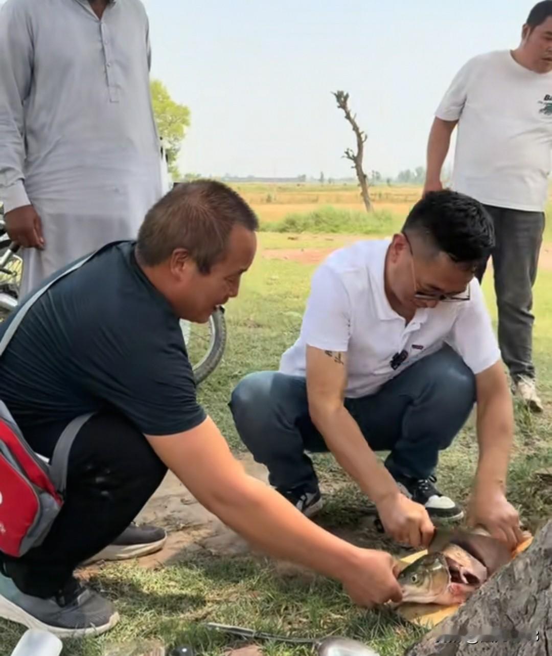 小赵和老陆，还有老陆陆游几个人在野炊。大家心情放松了很多，在野外又是摘又是就是野