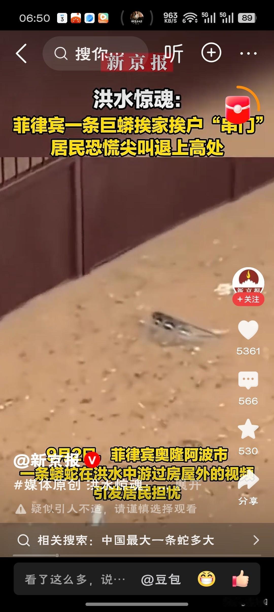 巨蟒挨家串门不是来觅食的，是来查户口的——看看这场洪水里，还有谁和它一样，把家弄