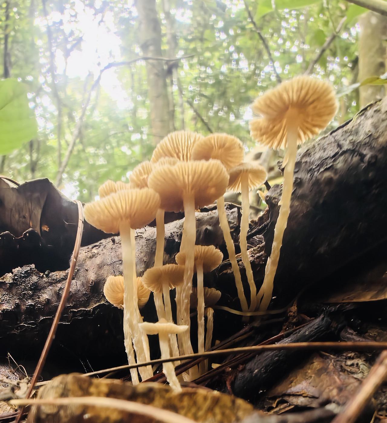 “空军”的星期天！烟火人间，各有遗憾，今天比昨天好这就是希望！