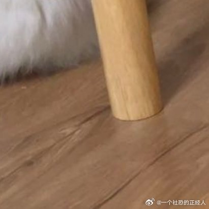 每日一善每日一善阳光信用日行一善每日一善你好一起保护大自然与社会携手做公益关爱唇
