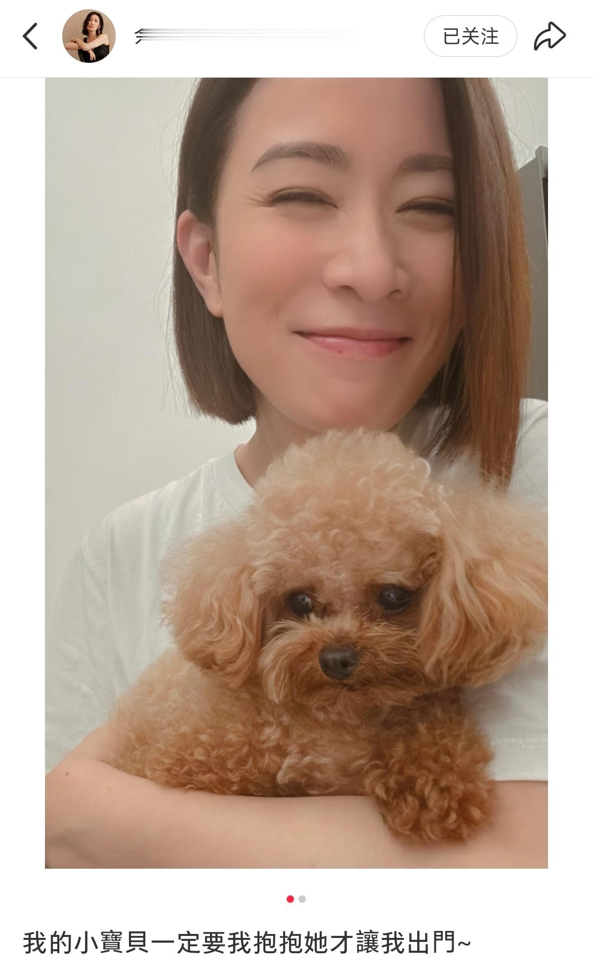 佘诗曼养的小泰迪，很爱撒娇的小狗 ​​​
