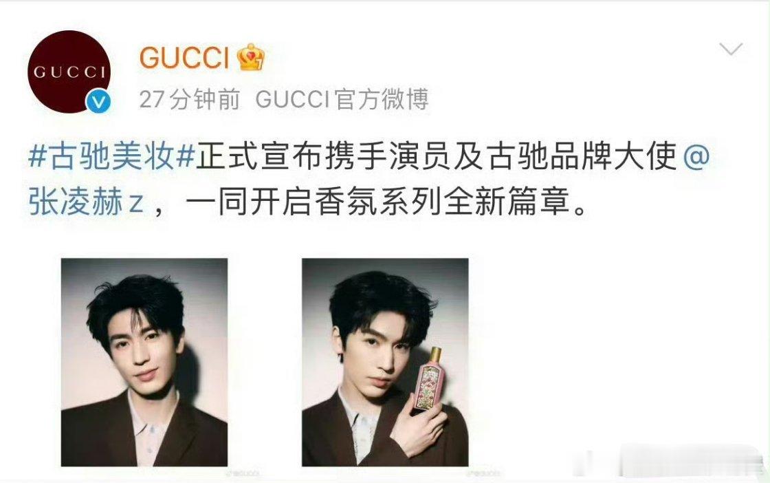 张凌赫GUCCI双线了？恭喜啊 