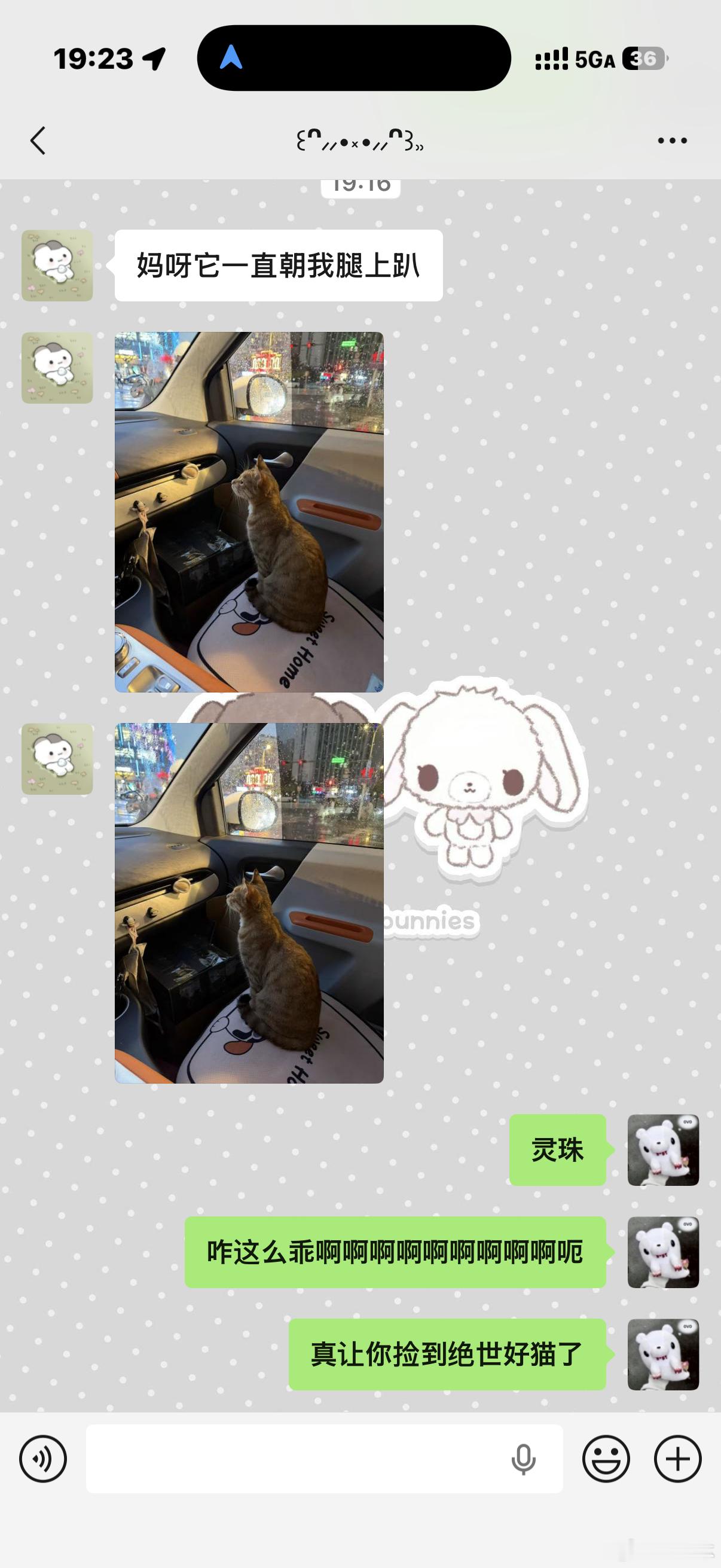 太乖了。。。。 