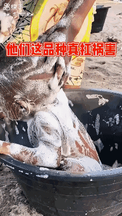 大力出奇迹！[泣不成声]