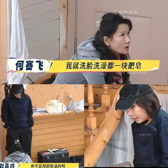 刘嘉玲老尴尬了，
她怎么也没想到，
自己天天高端护肤品养着，竟然还不胜
何赛飞手
