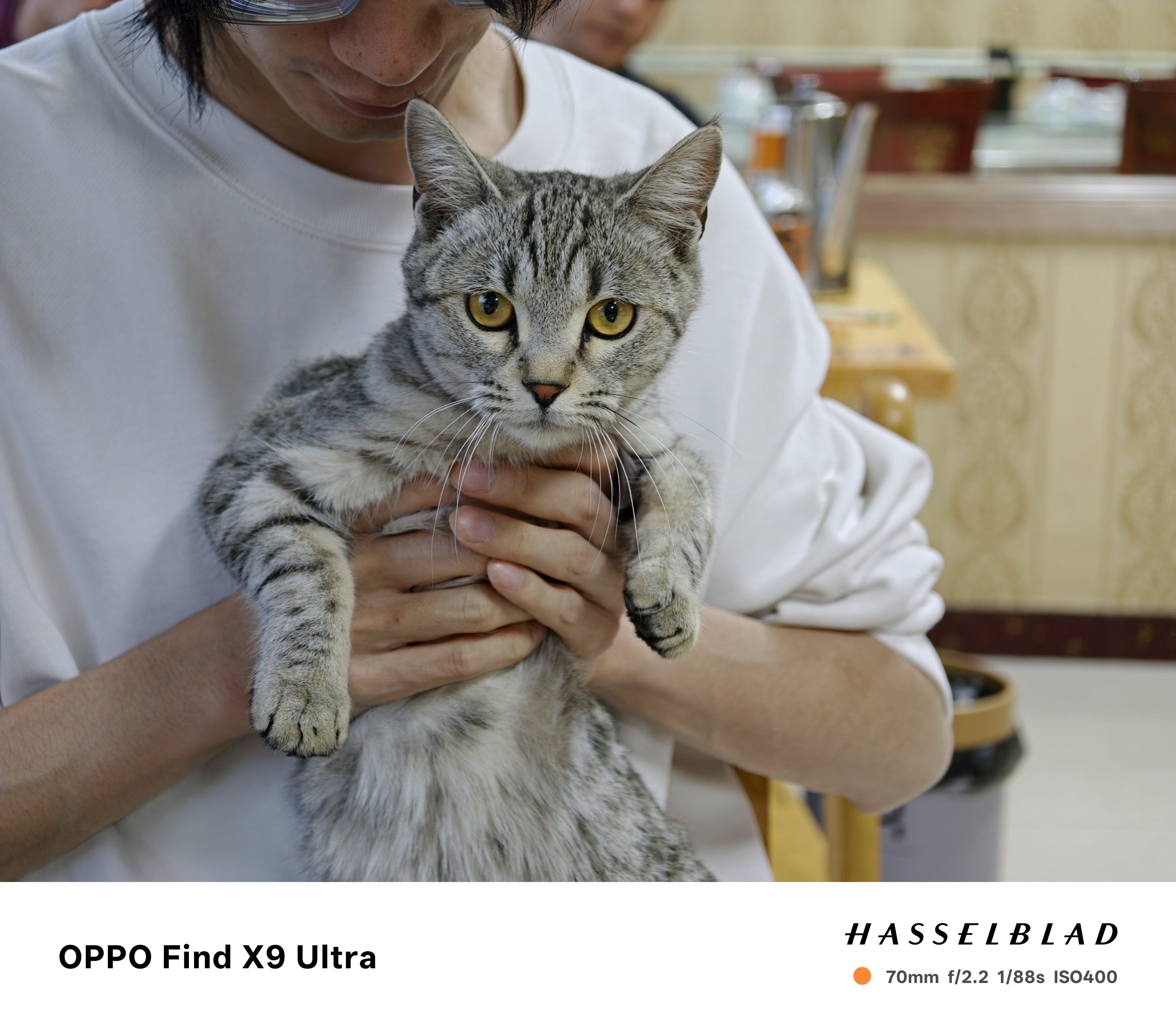 作为最后发布的Ultra、硬件配置很强的Ultra，X9U目前的表现是低于预期的