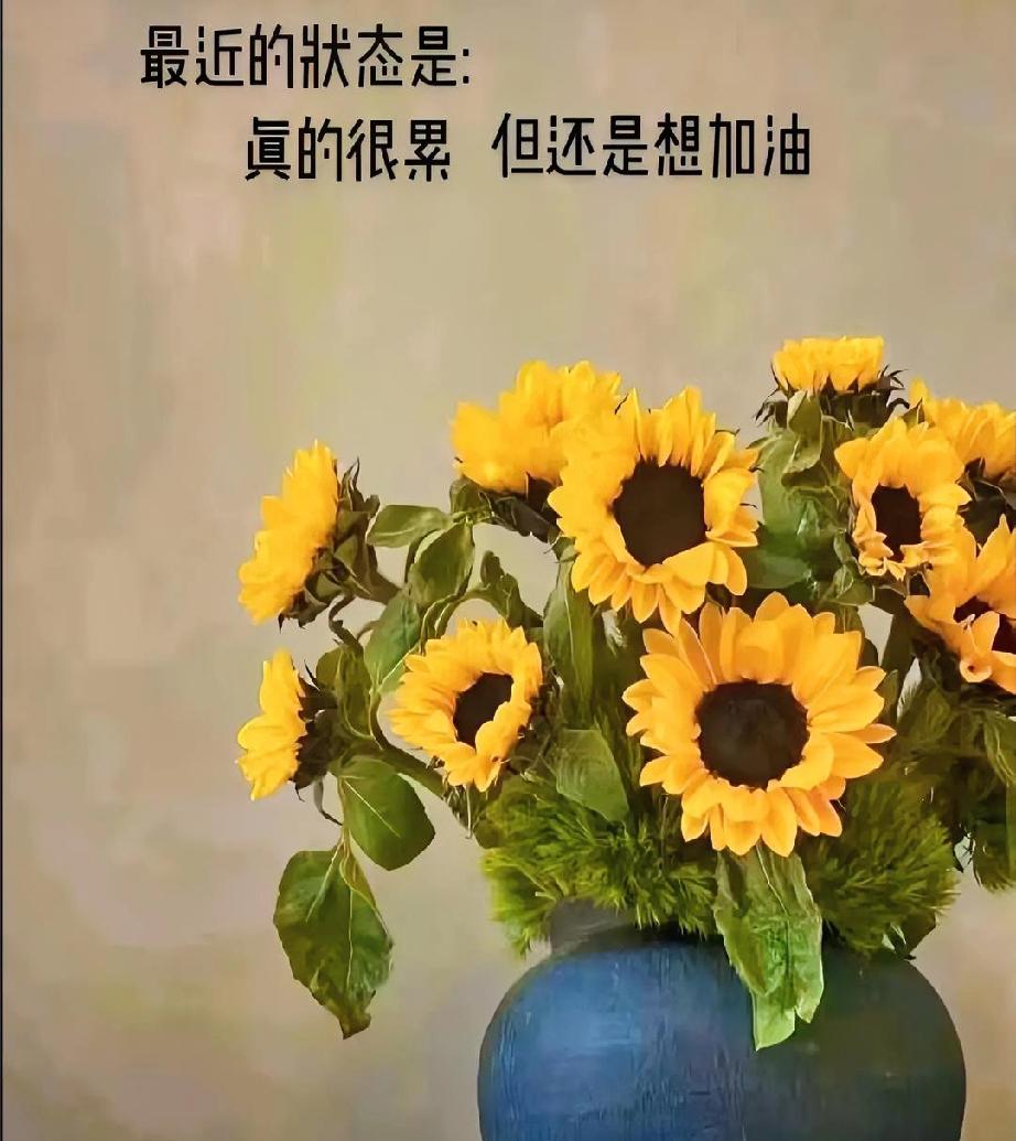 真没想到累狠了，脑子是真的会转不动。昨天就硬撑着发了三条微头条，不是不想动笔，是