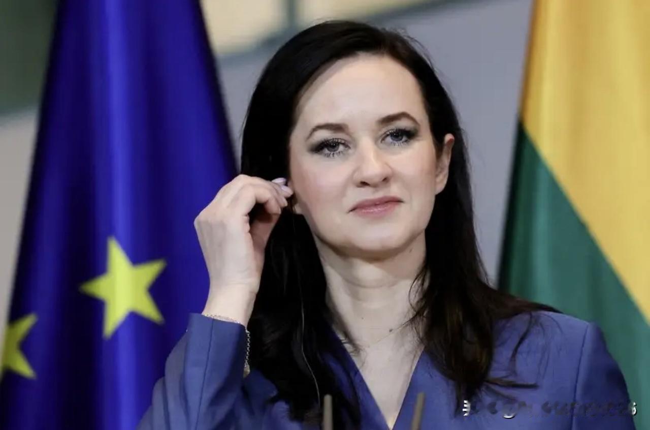 立陶宛请求改善对华关系释放了一个信号！
自从立陶宛不顾一切后果执意要设立所谓“台