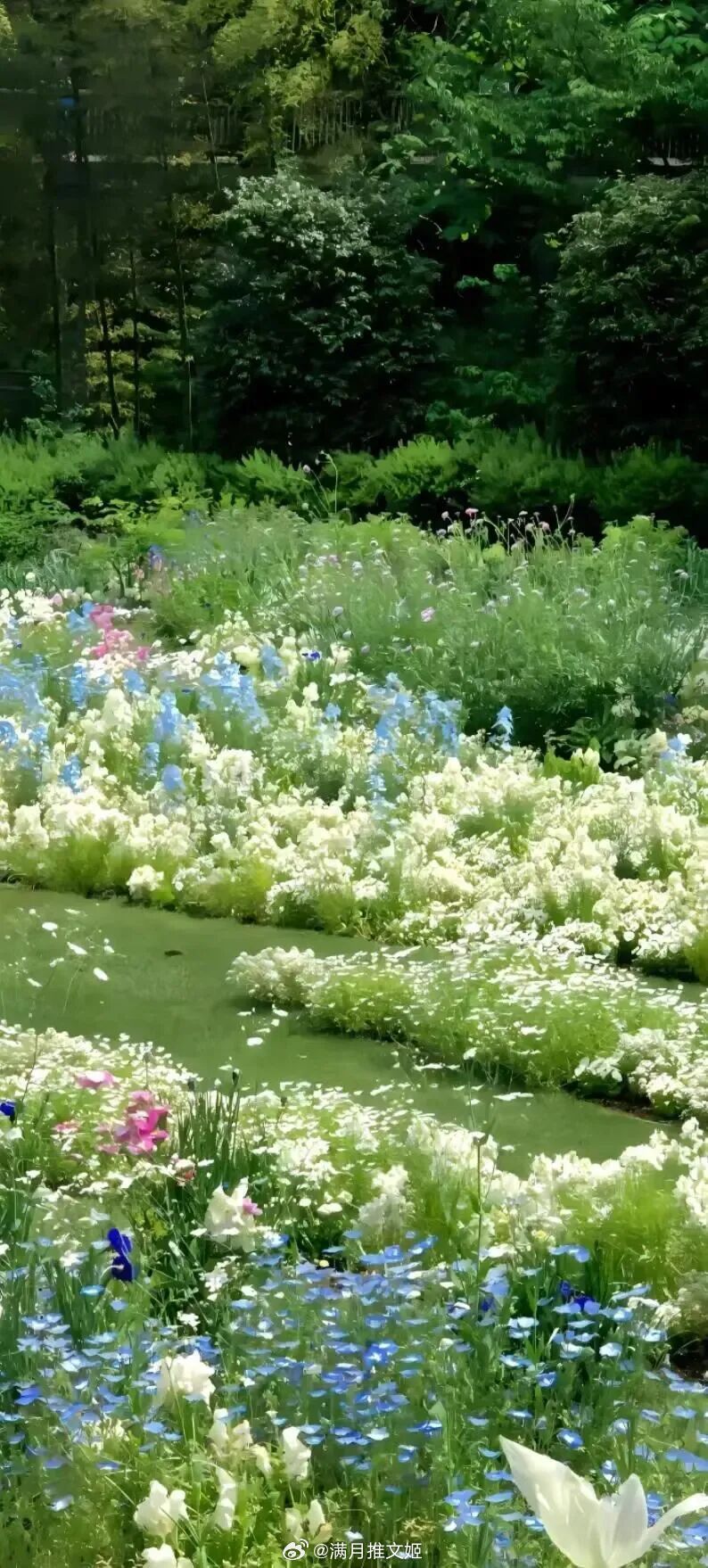 每个冬天的句号都是春暖花开。——阿尔贝·加缪早安