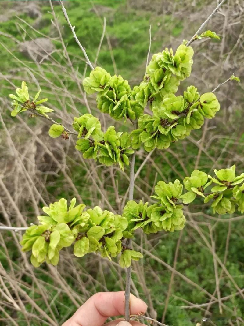 第三轮土地承包又要开始了，又是30年！
简单的这一句话，让有些农村人一辈子都失去