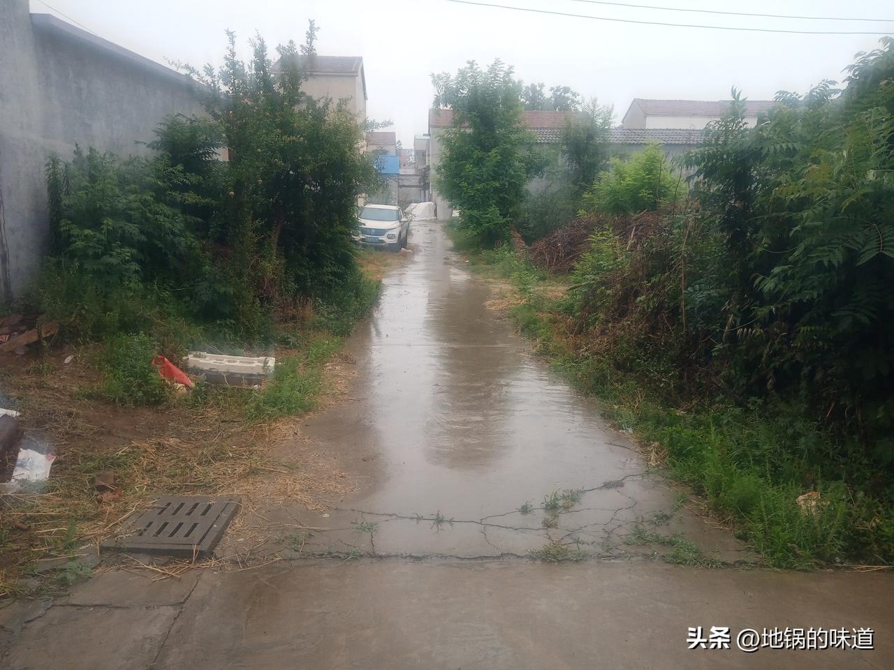 有雨无雨，看小暑
月头小暑旱断江，月尾小暑发大水
小暑来得早，下雨如盆倒
小暑来