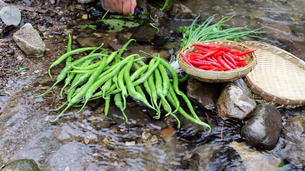 秋冬季节，正是辣椒成熟的时候，弄点青辣椒和红辣椒做一碗彩椒酱，开胃又下饭，非常农