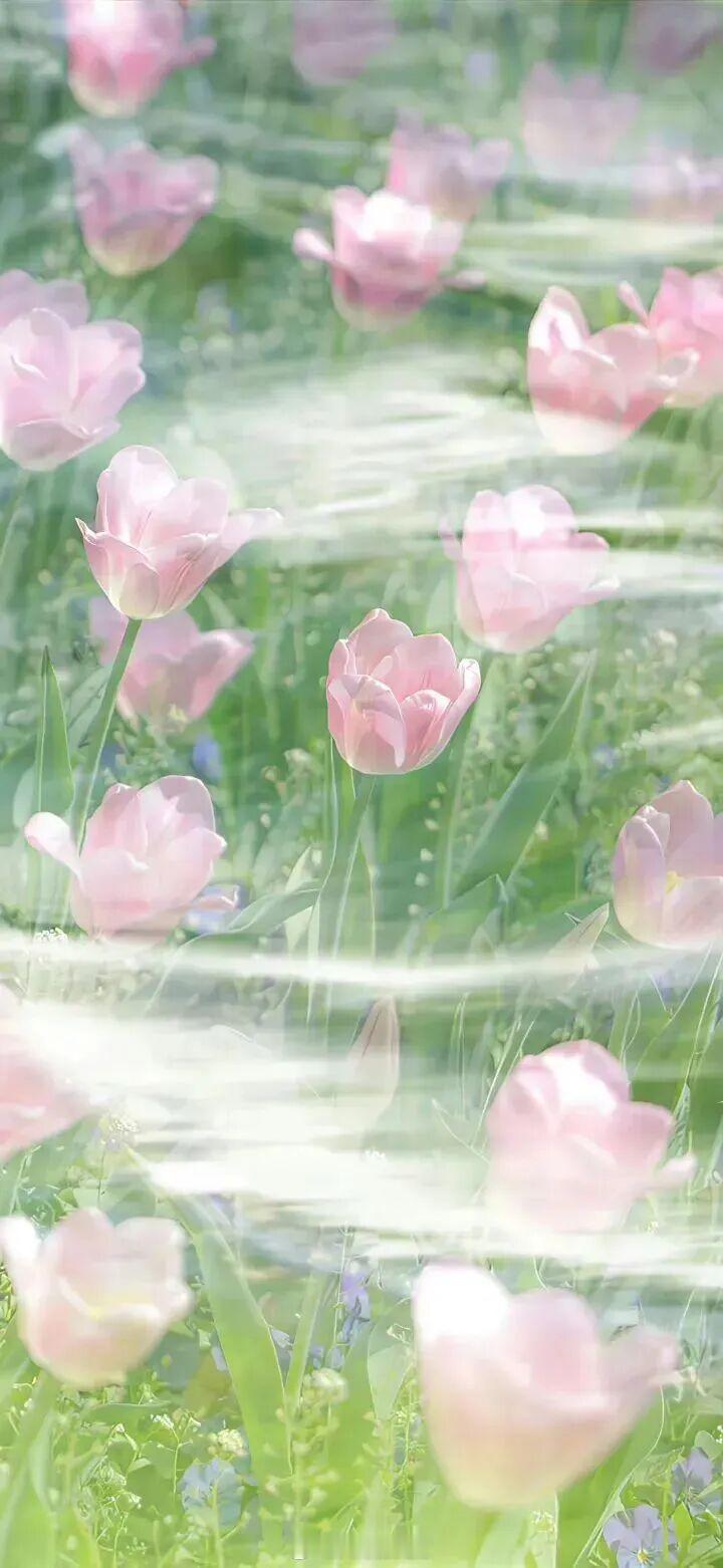 为了听到你的声音我愿意让这个世界安静下来。为了看到你的每一面我愿意赴每一场约定。