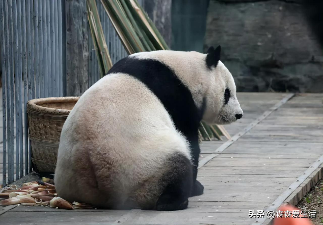 图一，花点点，静坐五分钟，非静止画面。

她这是怎么了。

图二立马有答案了。奶