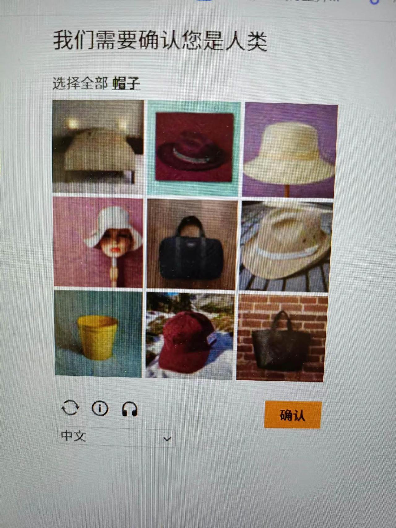 现在的网站这样防ai了，哈哈哈