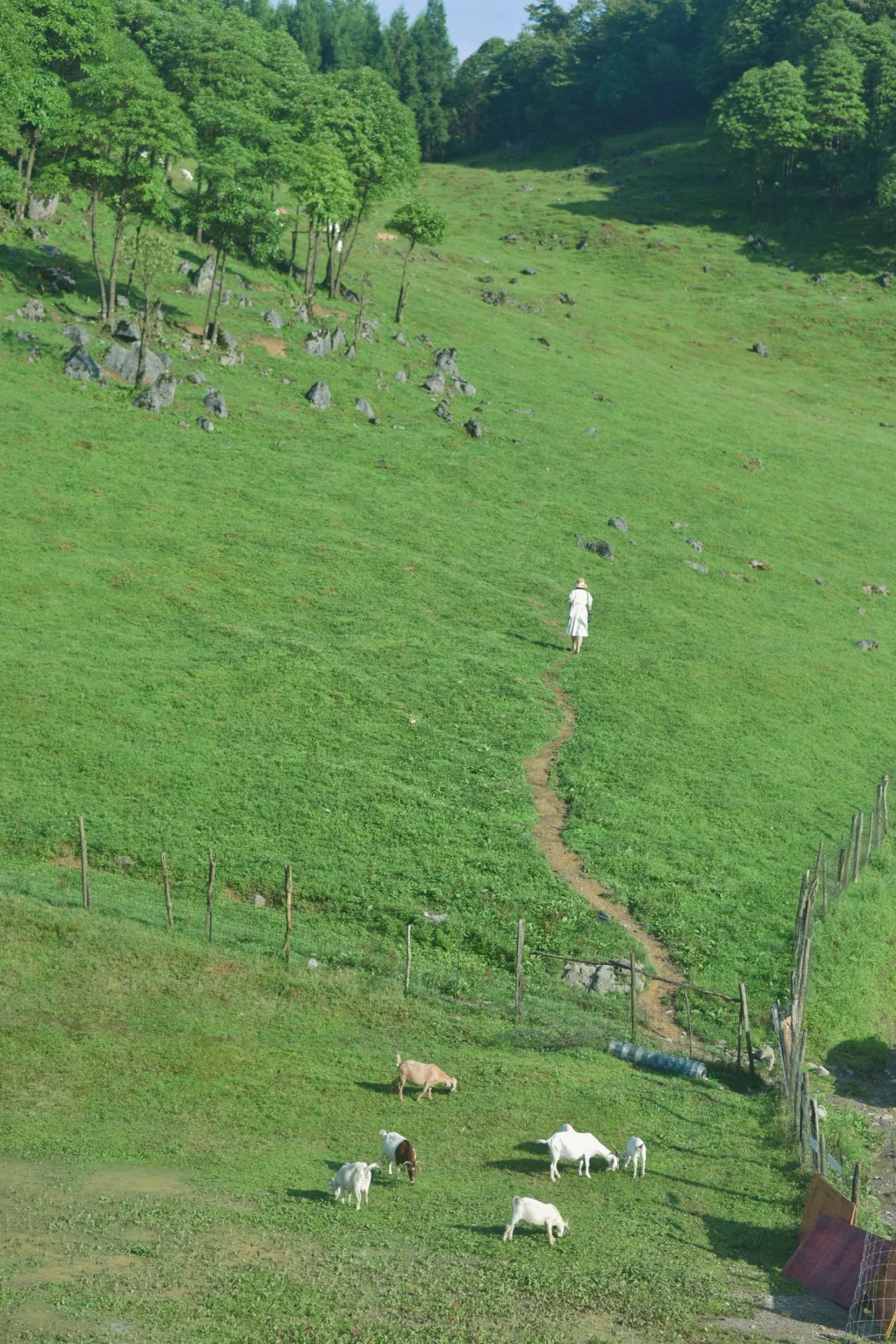 武汉周边高铁3H❗️被低估的9个小众旅行地
