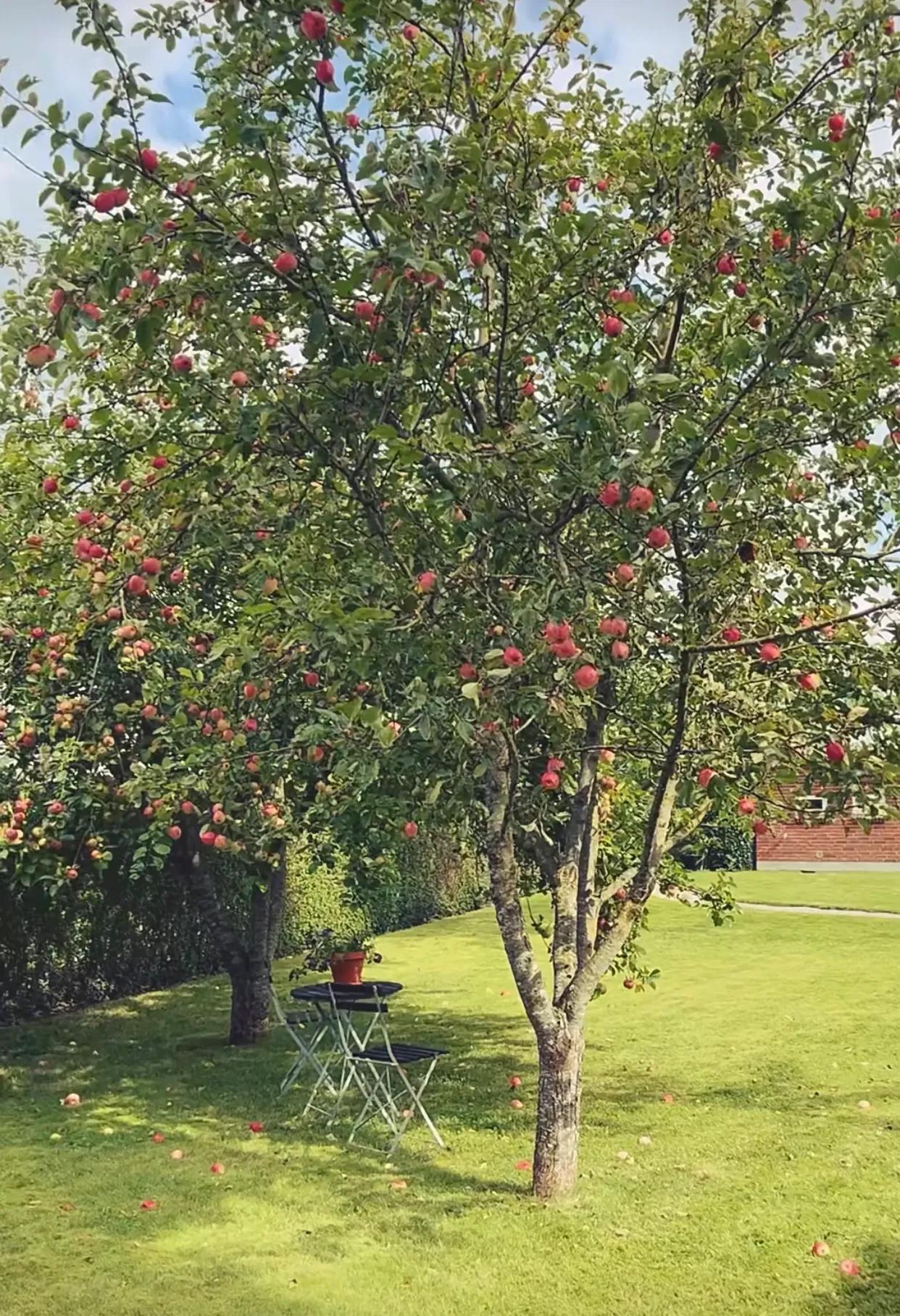 裸辞之后，我感觉自己在生长

是时候跟过去的自己做一个小小的告别了，

告别自卑