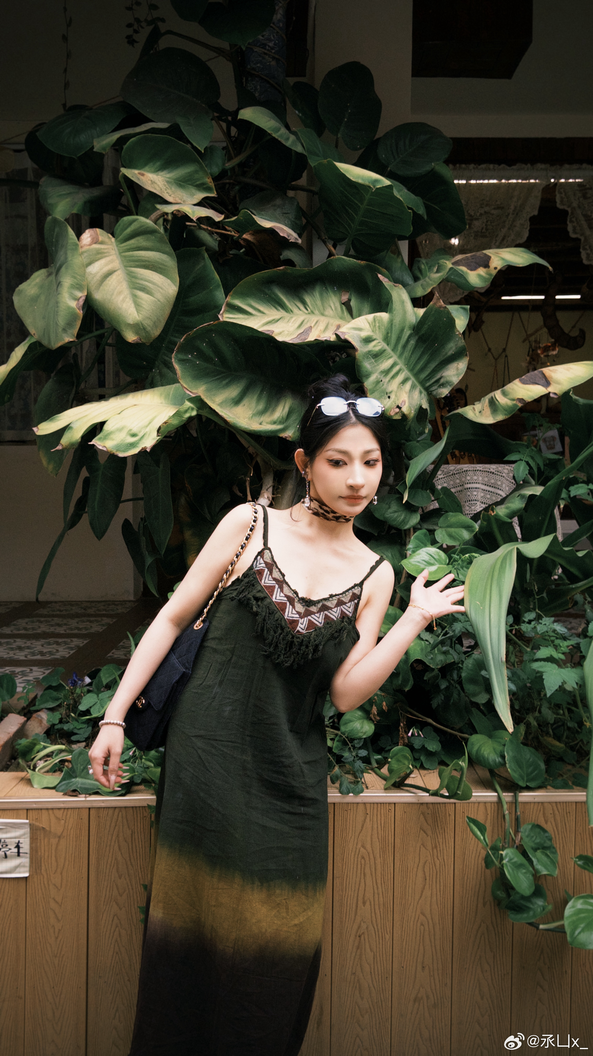 普洱·思茅老街 普洱·云南普洱五湖国家湿地公园-洗马湖片区