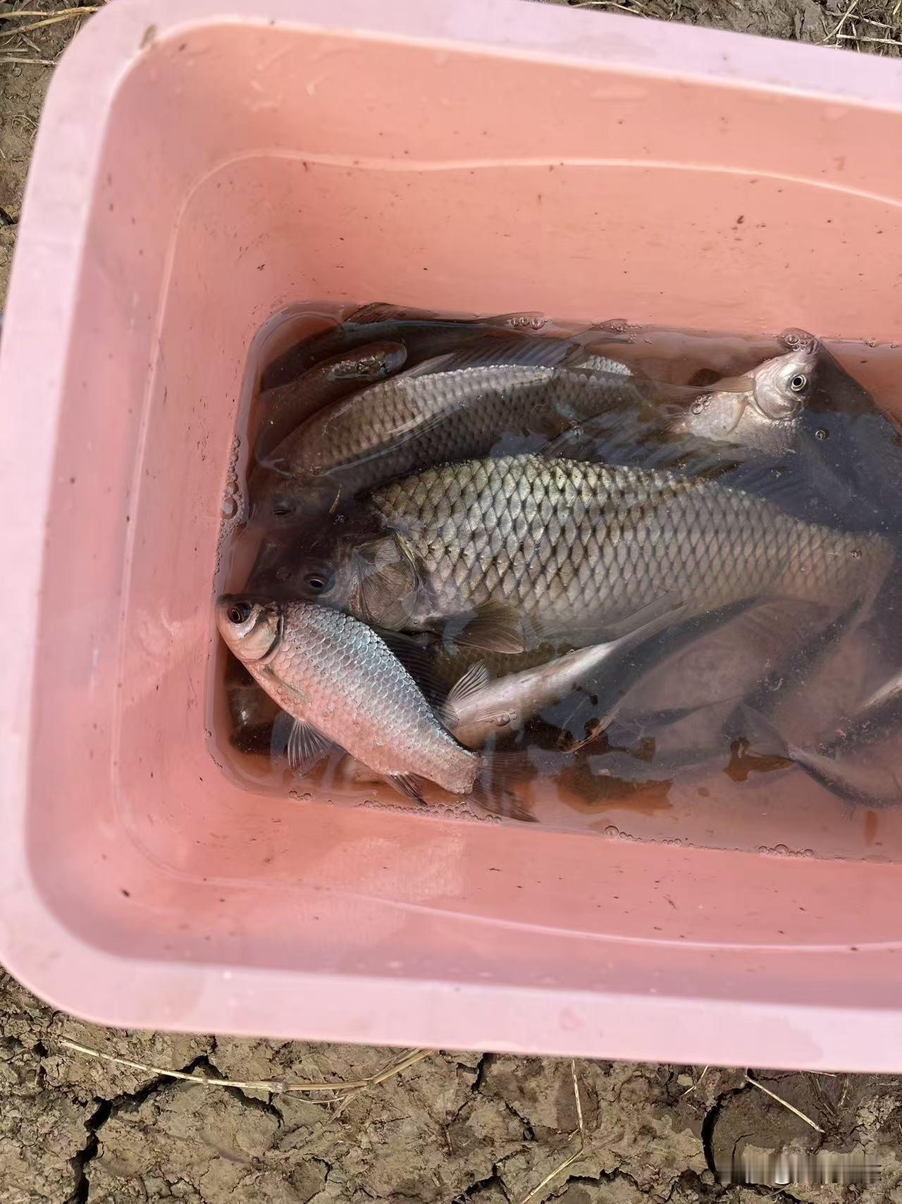 冬钓鲫鱼不要随便找个位置就直接下竿，多想想鱼应该藏在哪里。

到了河边啥也别干，