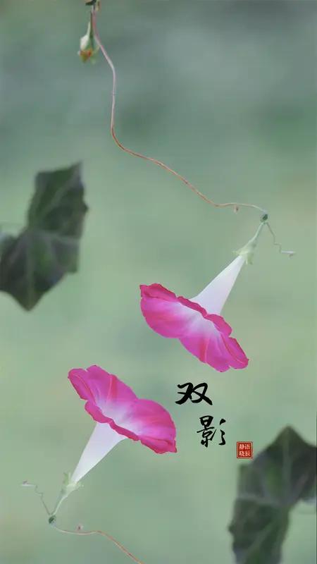 上联：三生有幸得君顾；
下联：双影得遇共同舟。
此下联与上联意境相合，尽显相守的