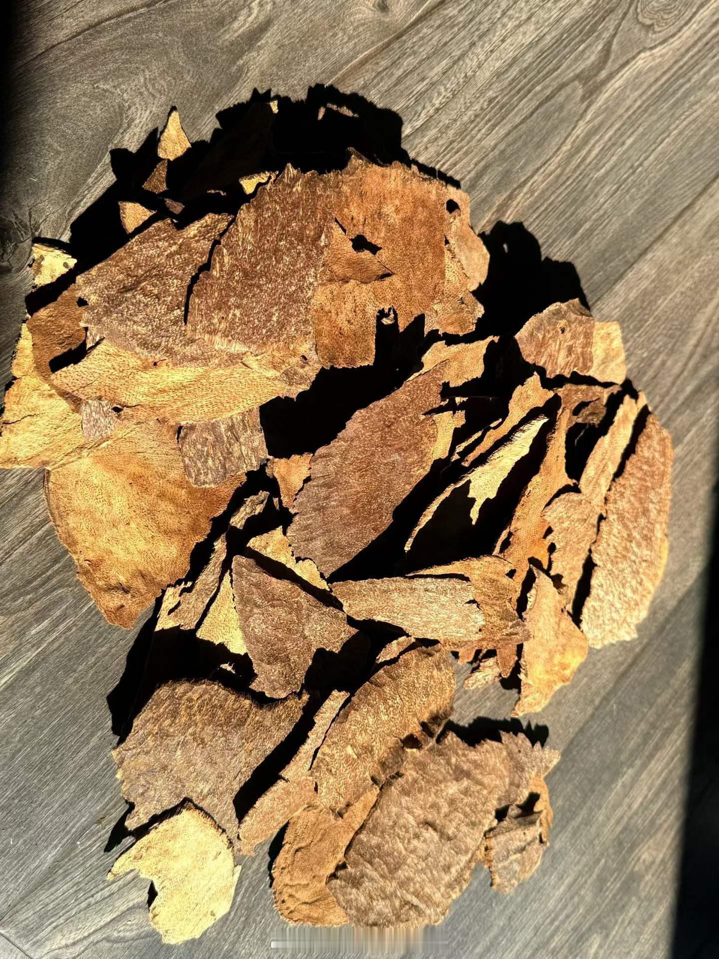 印度阿萨姆锯口沉香印度阿萨姆地处印度东北部，位于西藏以南、孟加拉国东侧的独立地理