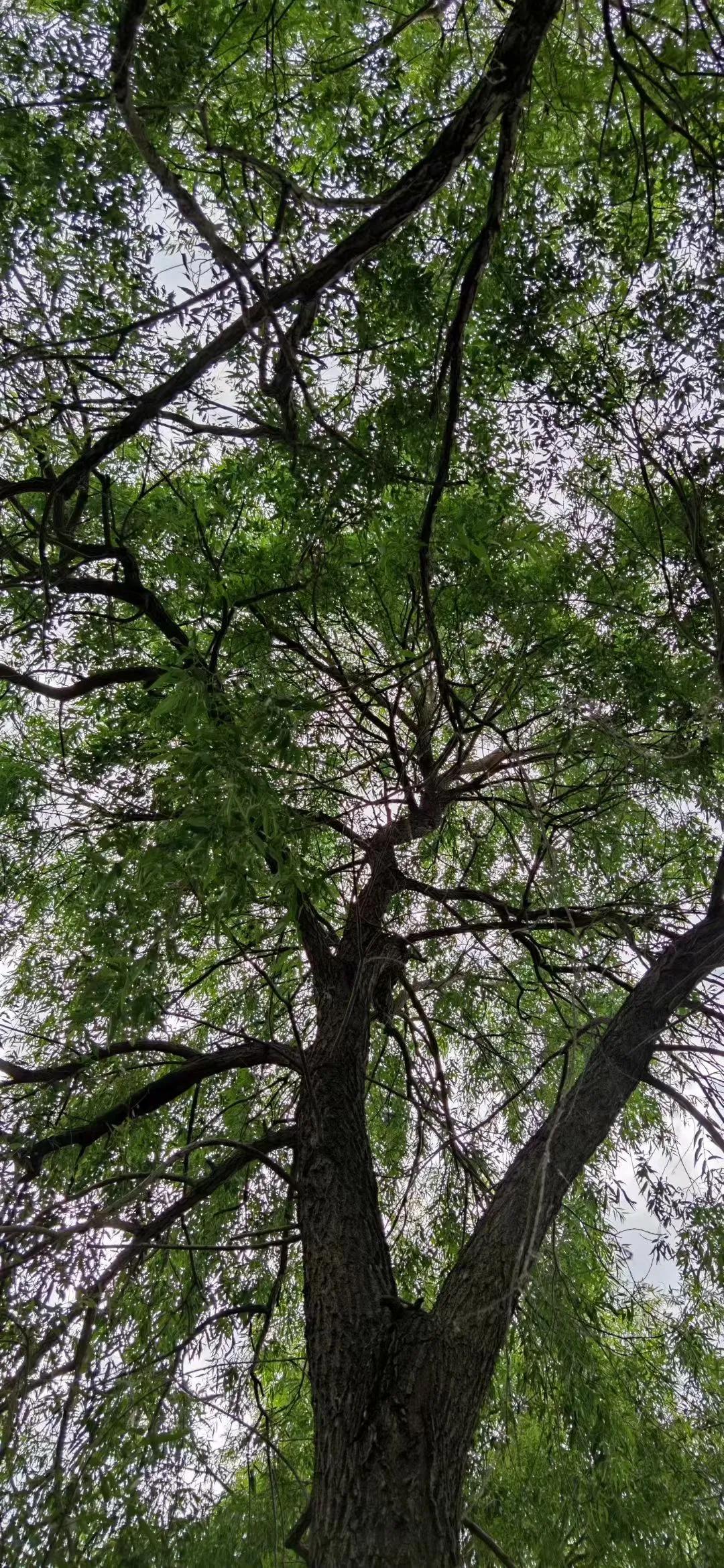早上醒了 ，不愿意起 ，想起了旧事 。

先是想到了前两天整理衣柜的时候 ，发现