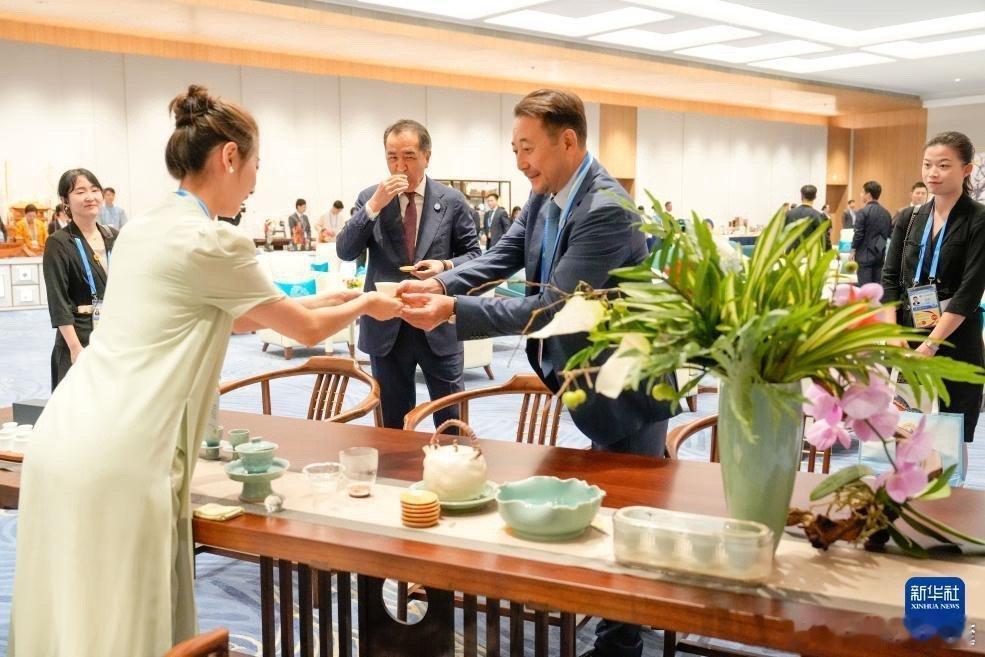 上合里的天津港硬核力量 2025上合峰会天津启幕，20多位外国领导人赴会。街头满