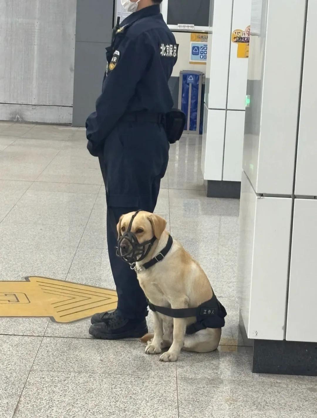 伙计，你的肩带滑下来了！