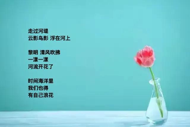 清晨来到溪谷
看小鱼游去游来
它们队形自由
我看应该是种舞蹈
．
搅散云影
很快