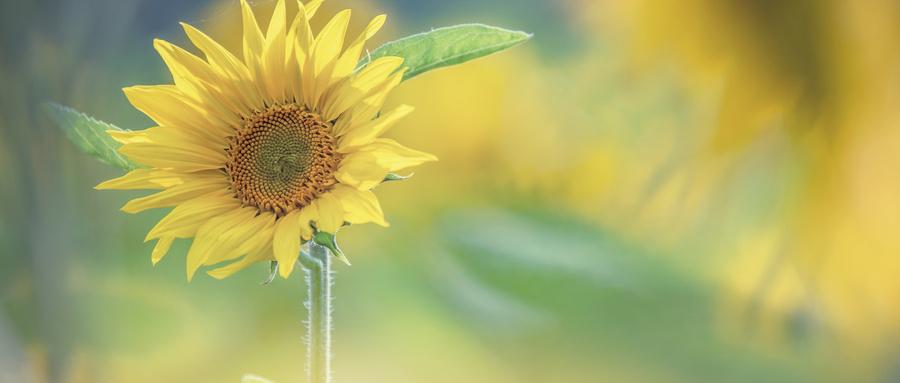 姑娘30岁以后别踩的8个坑：
 
1、不要去撩根本不喜欢你的人，受伤的是你自己2