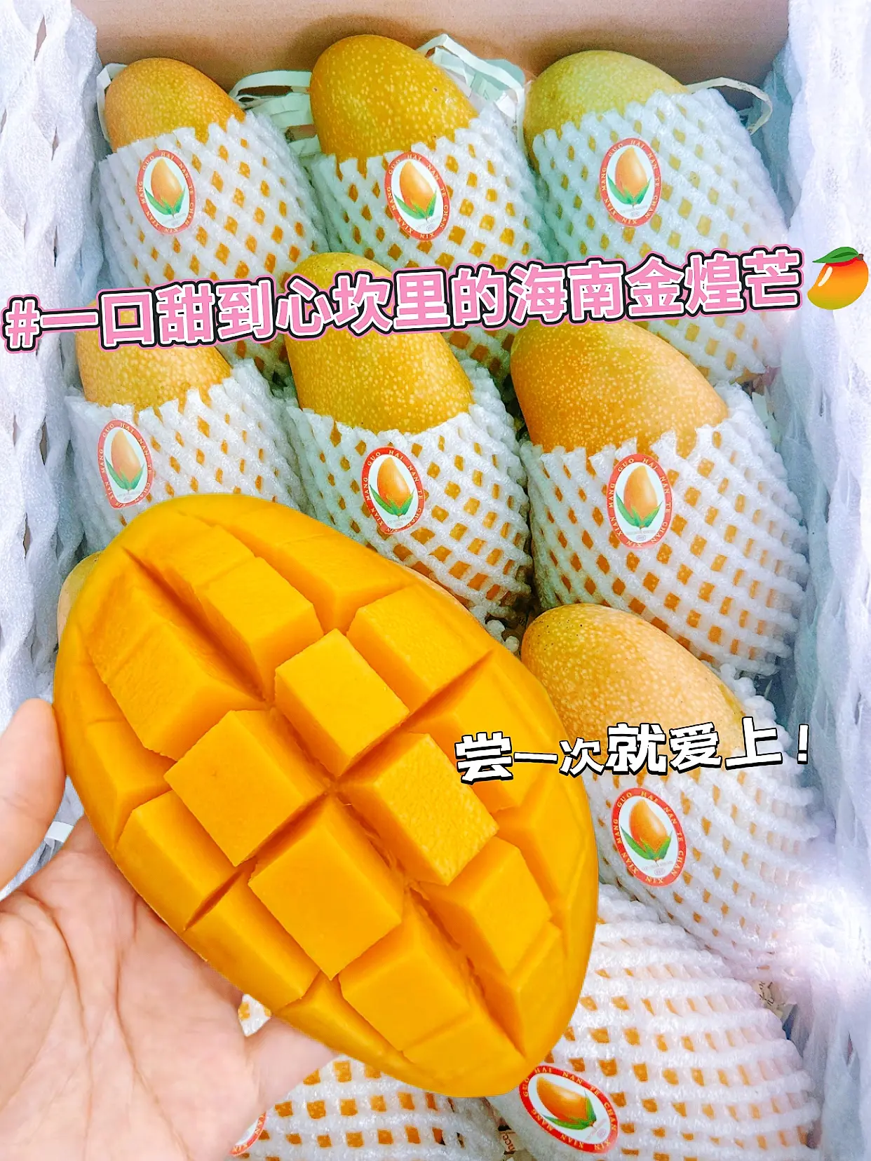 金煌芒一款多肉的芒果 大口吃肉超级过瘾 Q弹的果肉，在舌尖舞蹈 蜂蜜甜...
