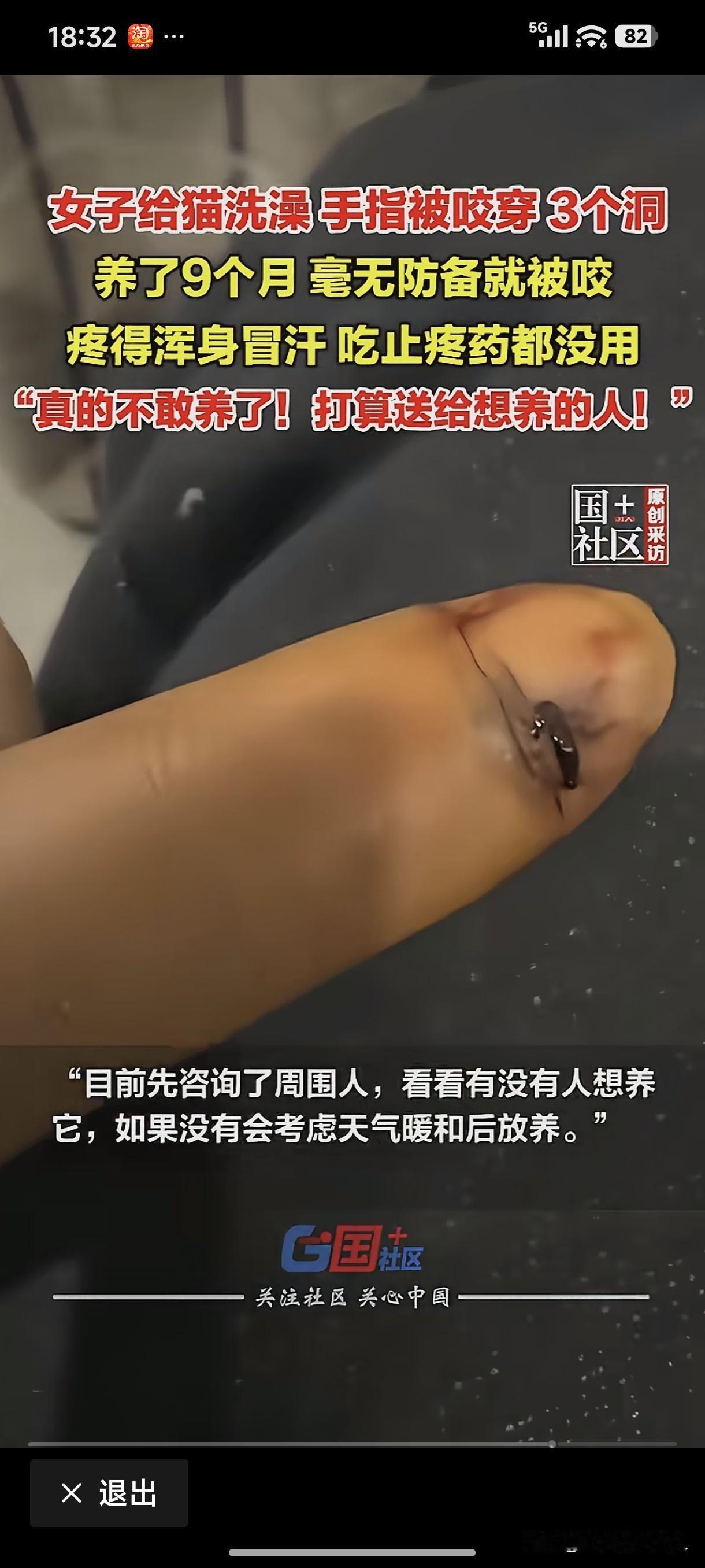 “爱狗人士”、“爱猫人士”都称呼猫、狗为“毛孩子”，就应该知道猫、狗是长了一身毛