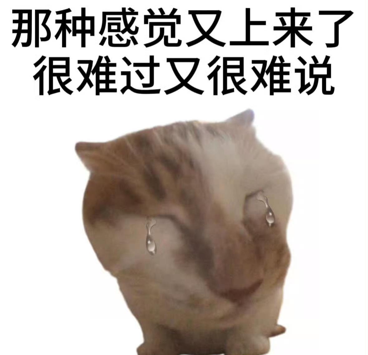 @离经公主 电话不接信息不回，孩子发烧818℃，我一个人背着孩子走24小时山路到