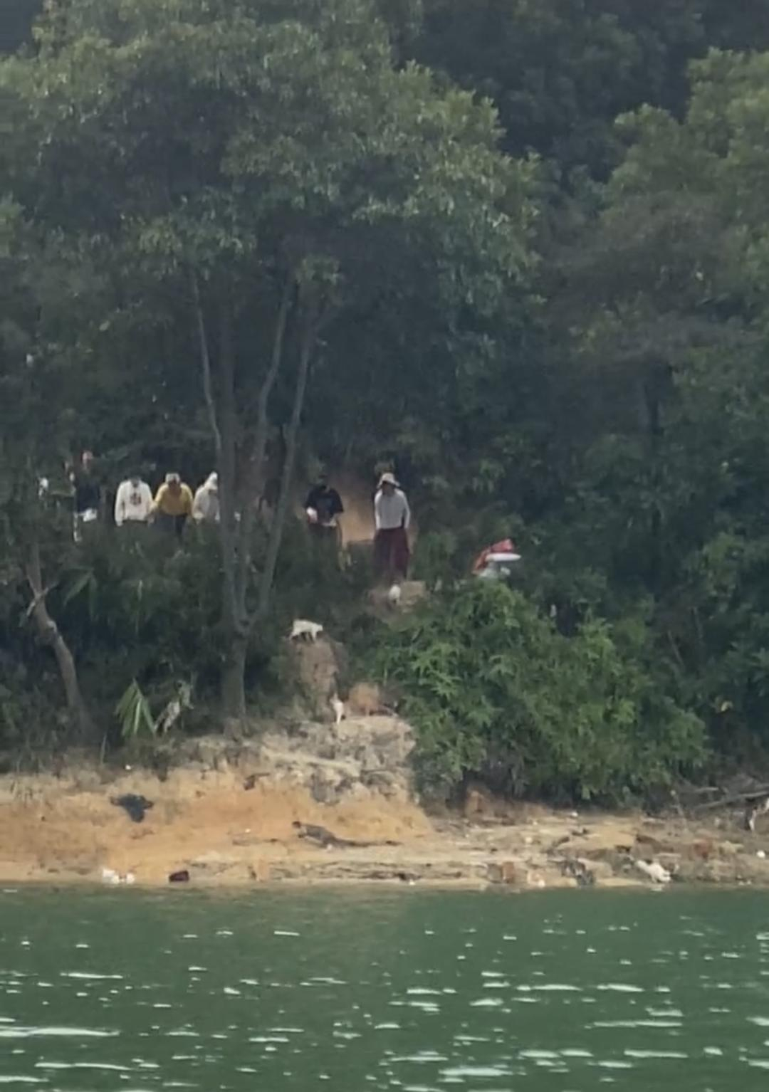 #当地回应多人在水库放生猫咪# 【#水库放生猫多只落水已救起3只#】#迎咀水库附