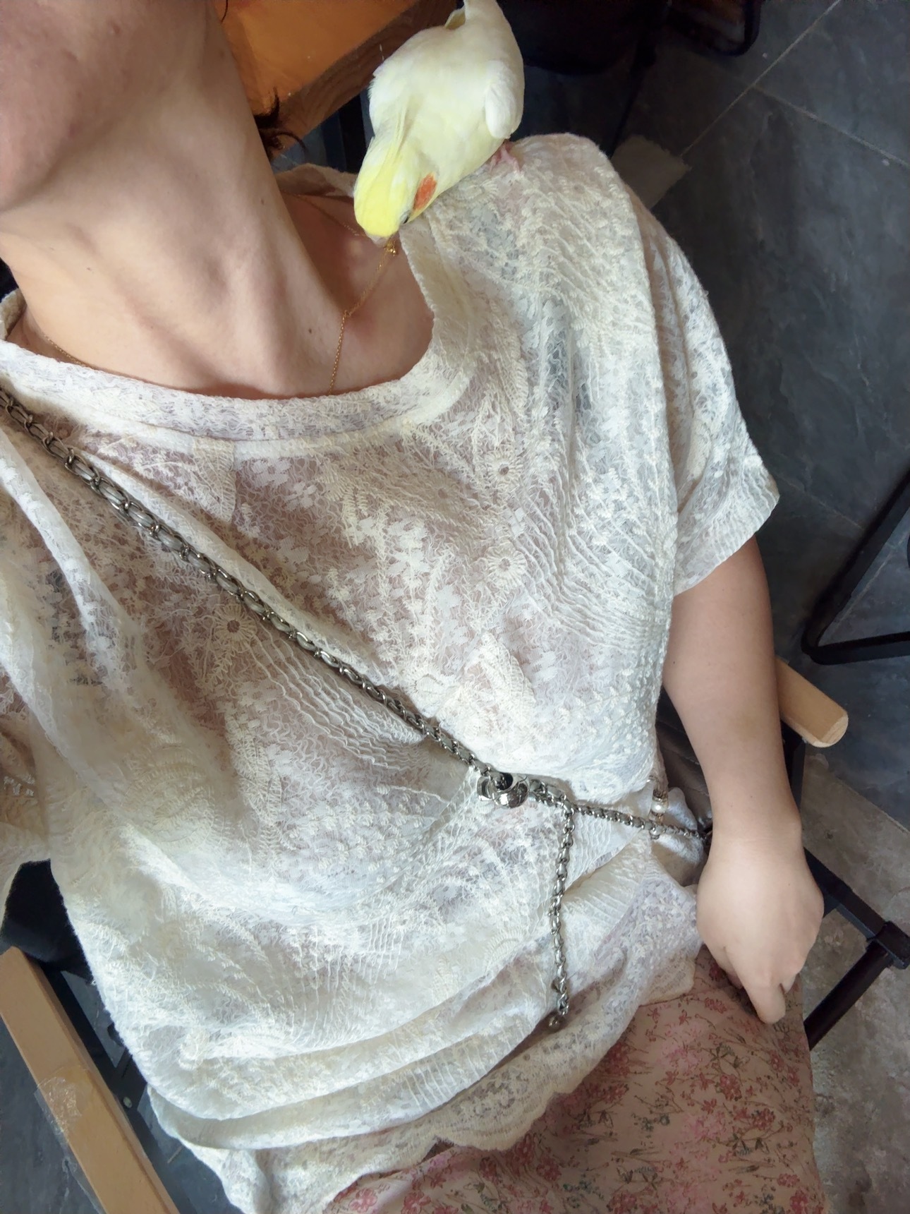 带娃好去处呀又能撸鸟又能拼豆 
