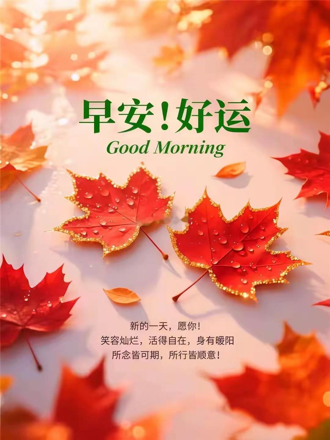 各位早！全新交易日开启，祝大家今日操作顺风顺水，账户一路长红！别悄悄潜水啦，都出