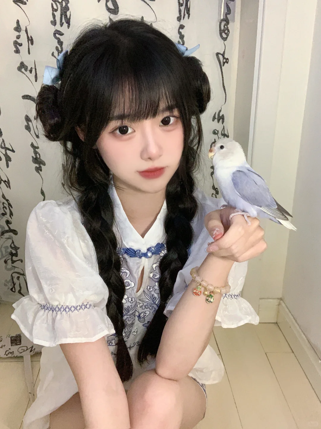 和笨蛋小鸟