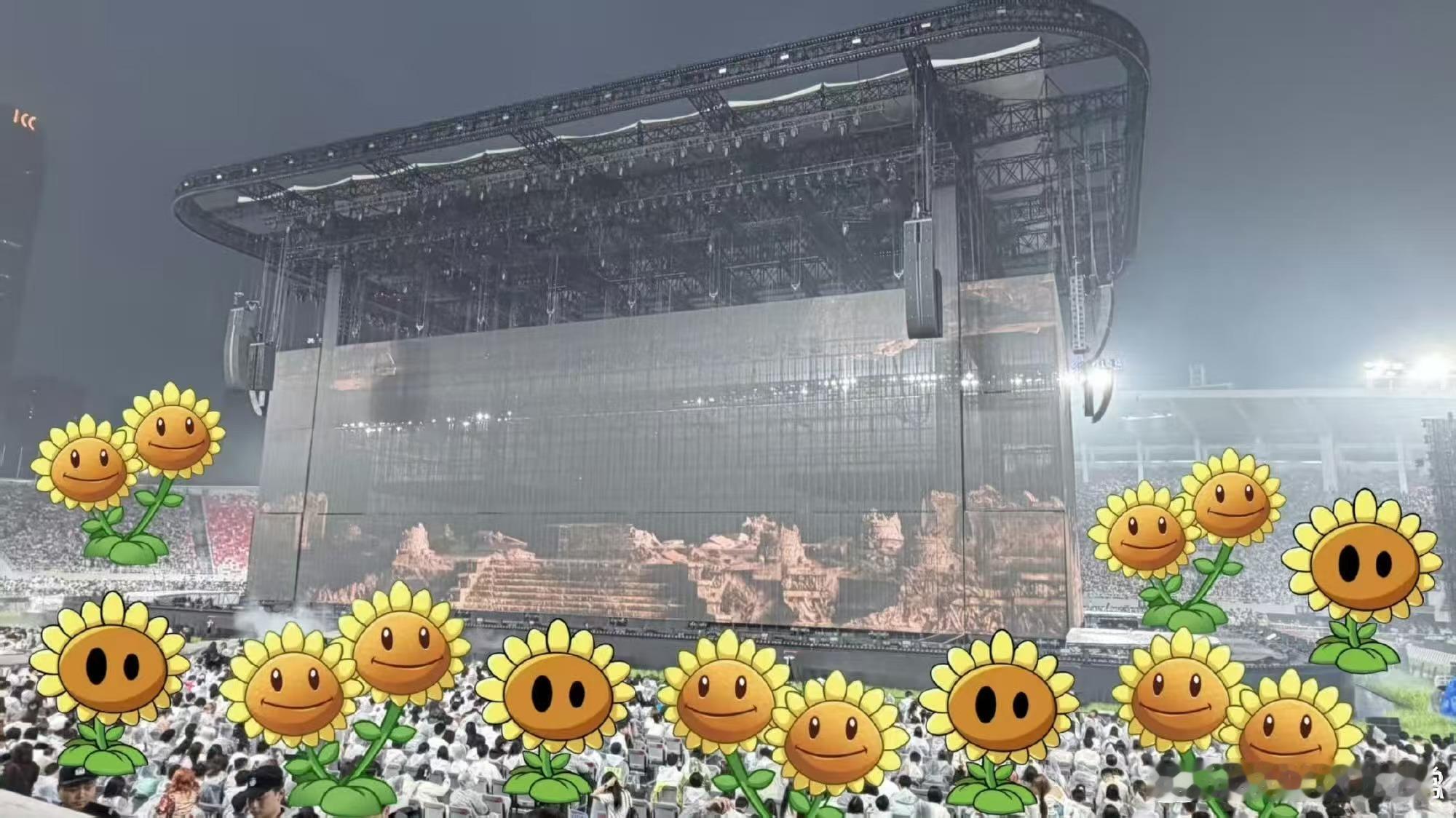 歌迷给薛之谦种太阳薛之谦我们把太阳种出来了 你是我们的太阳，我们是你忠实的向日花